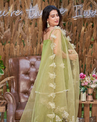 Sage Green Solid Silk Suit Set with Elegant Finish