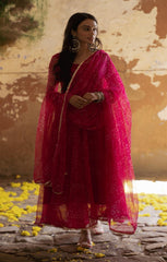 Exclusive Digital Printed Organza Silk Anarkali Suit