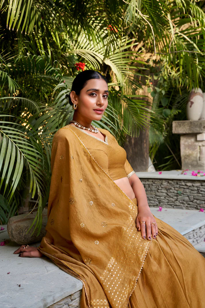 Graceful Pure Chanderi Lehenga with Zari Weaving Border & Sequins Embroidered Dupatta