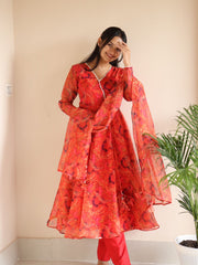 Organza Silk Anarkali Gown Set