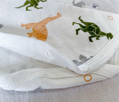 Dino Fun Baby Boy and Girl Cotton Romper – Cute Dinosaur Infant Outfit