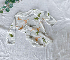 Dino Fun Baby Boy and Girl Cotton Romper – Cute Dinosaur Infant Outfit