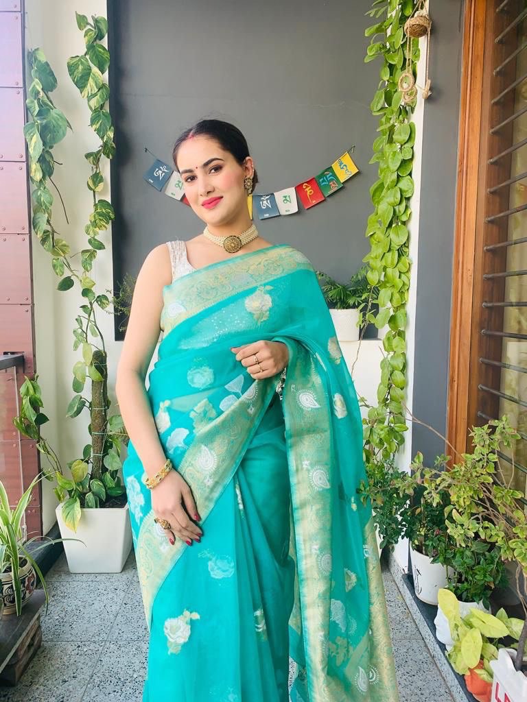 Woven Bollywood Organza Saree  (Light Blue)